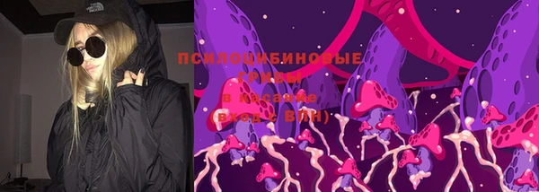 дживик Новокубанск