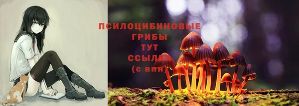 бошки Алексеевка